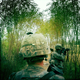Illustration for article titled Why a War Photographer Shot an Award-Winning Photo With a $2 iPhone App